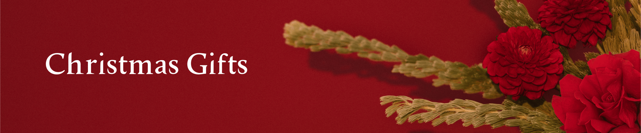 Christmas Gifts - Eco By Sonya USA