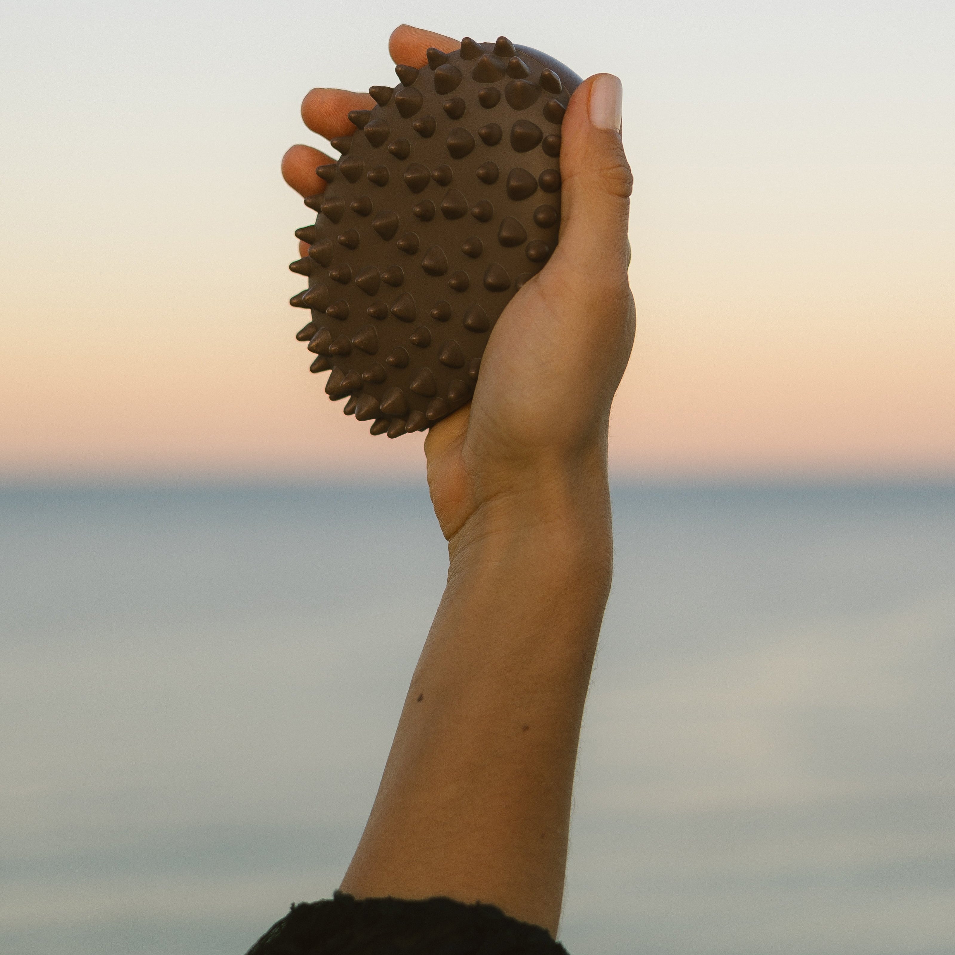 Hand holding Eco By Sonya Body Workout against the sunset